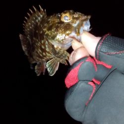 久しぶりの釣り