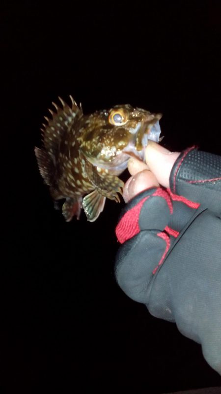 久しぶりの釣り