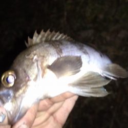 メバリングランガン