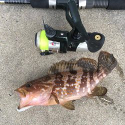 京都府の釣り　ゴールデンウィーク（GW）にオススメ4月後半の釣り情報！①