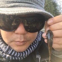 多摩川のガス橋下でチチブ爆釣。