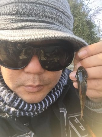 多摩川のガス橋下でチチブ爆釣。