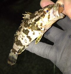 久々の微風ではあったものの