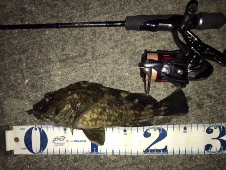 ボトムロックに癒されたメバリング