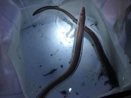 出張帰りに。。。