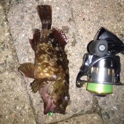 オカズ探しにぶらり旅