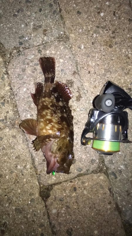 オカズ探しにぶらり旅