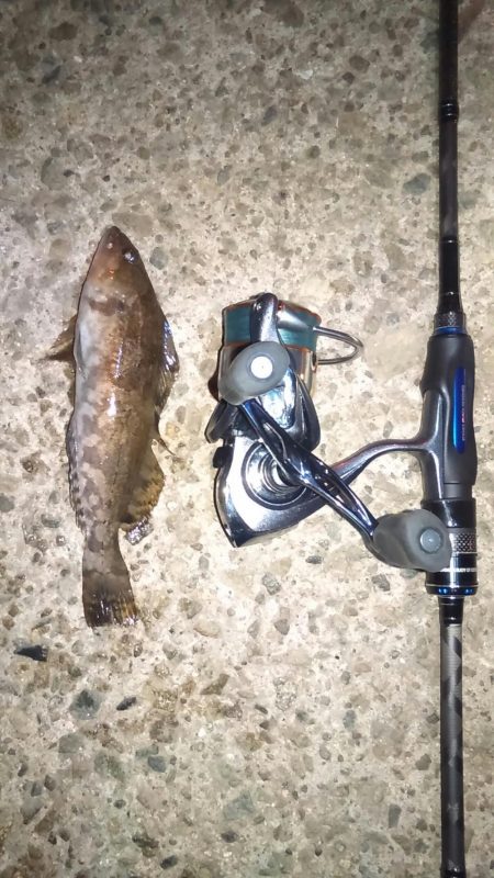 極寒のライトゲーム