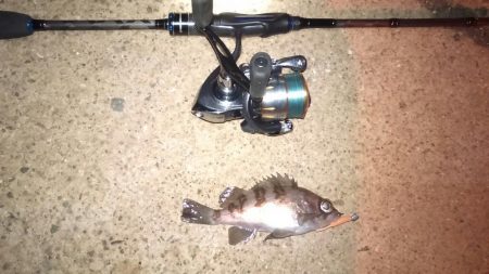 またもや極寒のライトゲーム