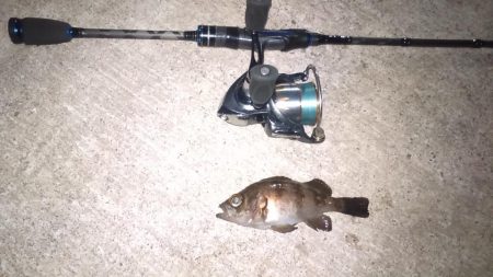 まだまだメバリング修行