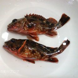 今回は寒かった〜!