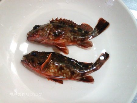 今回は寒かった〜!