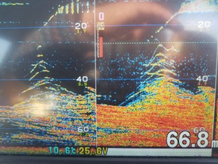 遊漁船　ニライカナイ 釣果