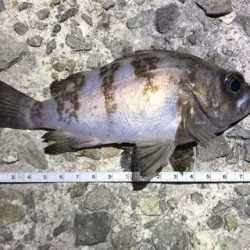 プラグはきつい・・・