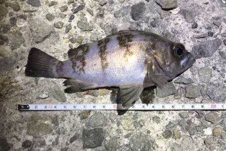 プラグはきつい・・・