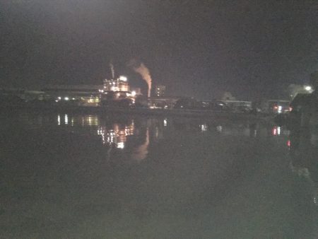 シーバス渋いです。