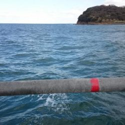 アジの無限ループ？