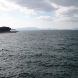 今週も青物に出会えず…