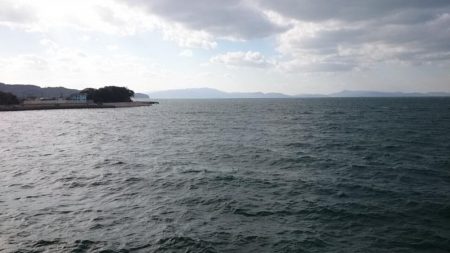 今週も青物に出会えず…