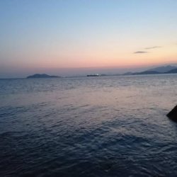 金、銀メダル、おめでとう!