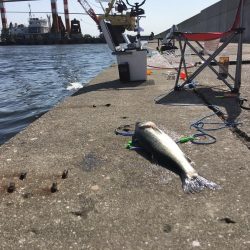 西宮ケーソン入口。