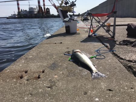 西宮ケーソン入口。