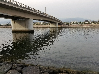 万能メタルマル