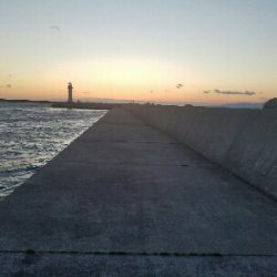 ガシラ釣り ~寒風高波、心が折れそう~