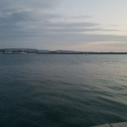 ガシラ釣り　～やや場荒れしてるかも～