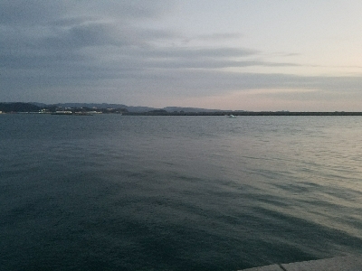 ガシラ釣り　～やや場荒れしてるかも～