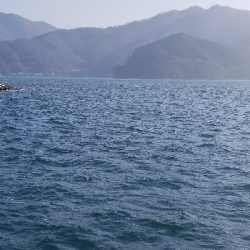 イカはいなかったが…