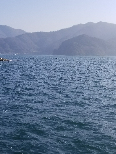 イカはいなかったが…