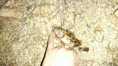 新地開拓なるか？！