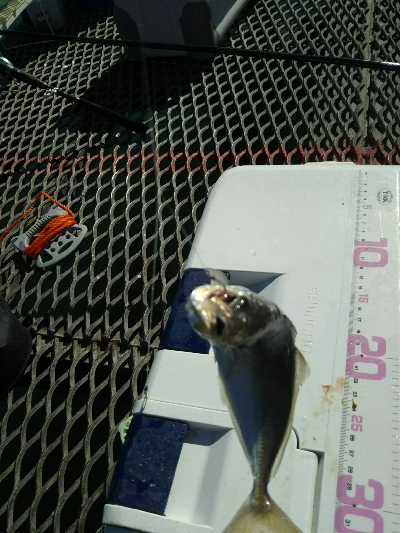 クーラー満タン