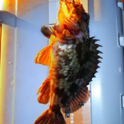 久しぶりのコンディション