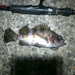 短時間メバリング