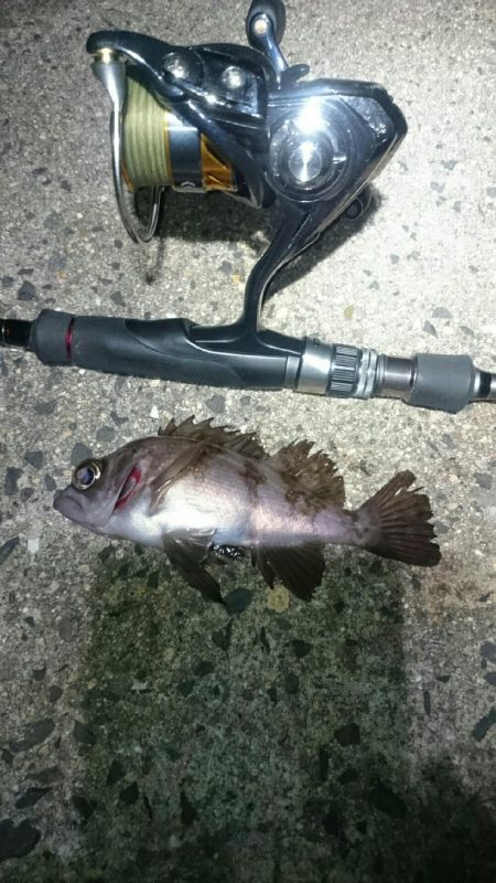 まだまだ渋い。