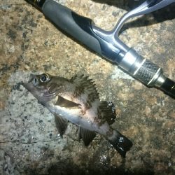 フロートにて。