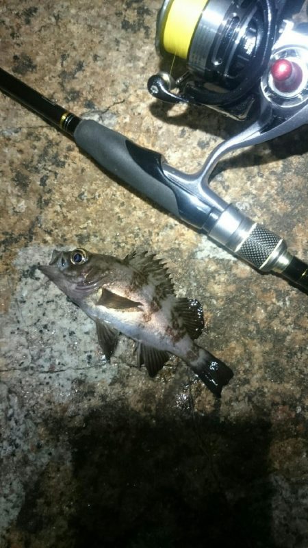 フロートにて。