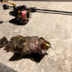 極寒ロックフィッシング