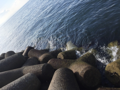 今年初フィッシュは人生初フィッシュ！