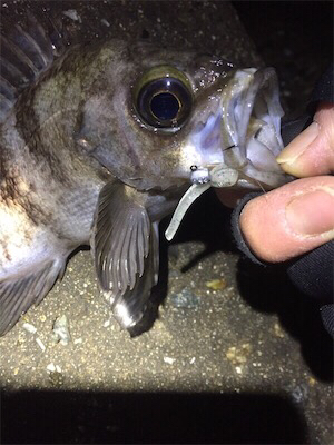 ちょっとシブい…