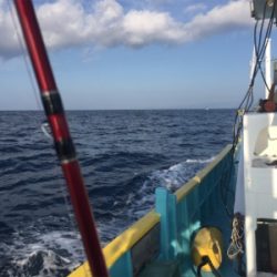 オオニベ釣れました☆