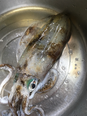 濁りのなかで…