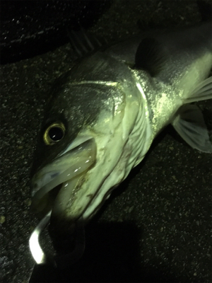 アメニモマケズ