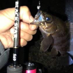 霧の中メバリング