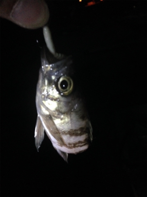 タフコンでお手上げ