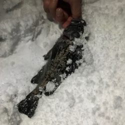 吹雪！