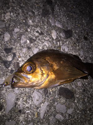 アフターメバル