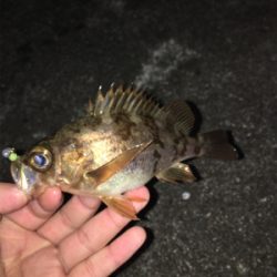 風にも負けず…